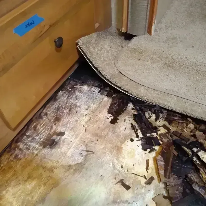 Wood Floor Water Damage in Ballenger Creek, MD